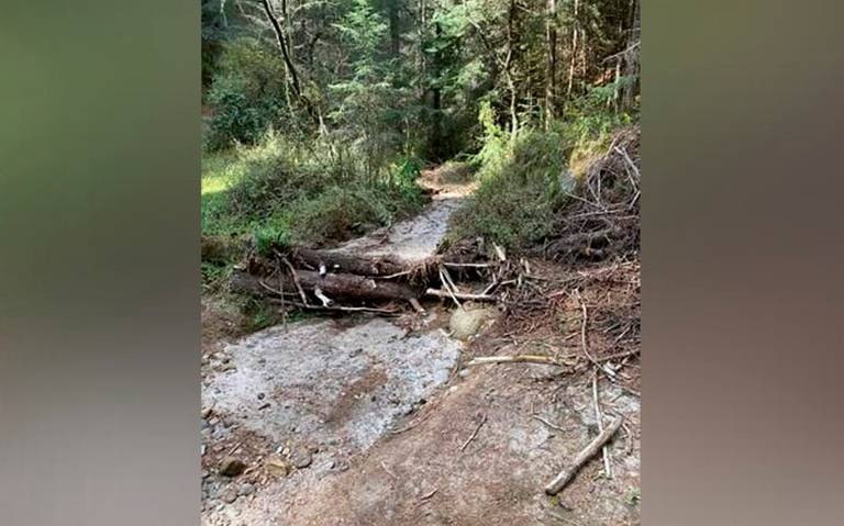 Ignora edil de Tlahuapan llamado ante presencia de talamontes