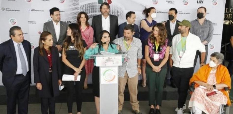 Tras “portazo” de AMLO ambientalistas acuden al Senado; Tren Maya costará vidas, alertan