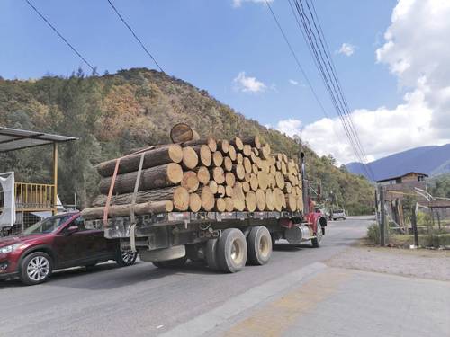 Inmobiliaria y talamontes pasan por encima de Profepa en Puebla
