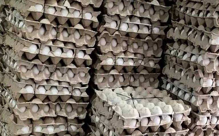 Baja producción de huevo por heladas