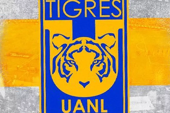 Refuerzos de Tigres 2024: fichajes, altas, bajas y rumores Liga MX 2024