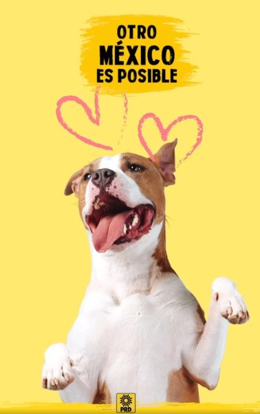 Sumarse a la causa de proteger los derechos de los animales es un llamado que resuena desde el PRD.