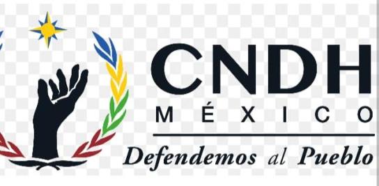 La CNDH advierte al tribunal electoral que no es su función defender los derechos humanos