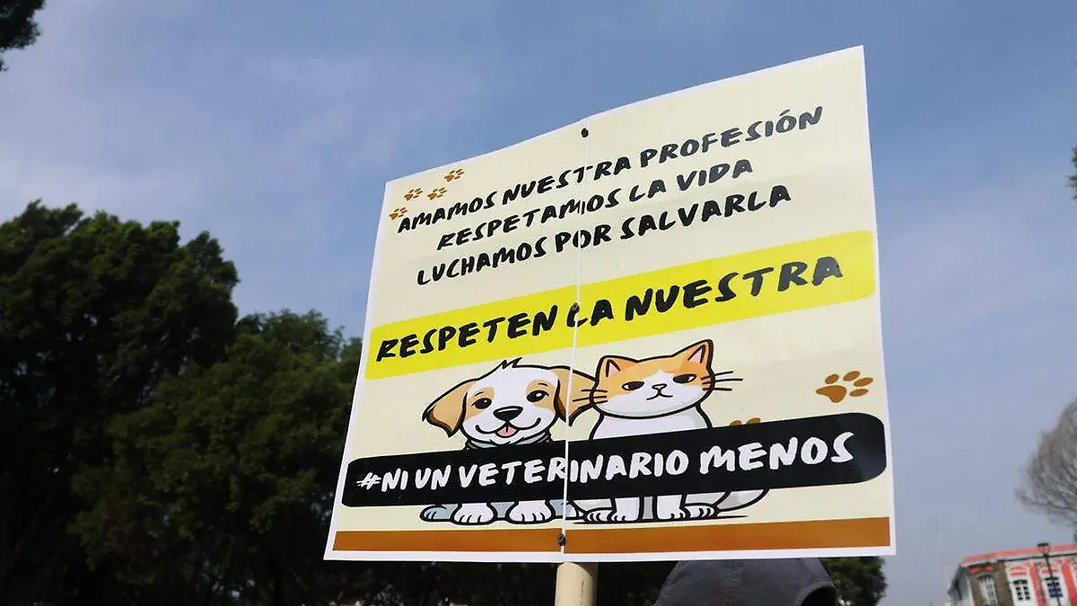 Marchan veterinarios en Puebla para denunciar abandono de mascotas y agresiones