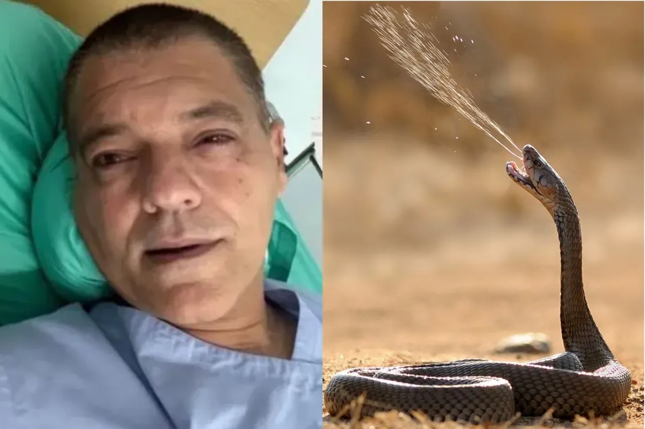 Hopitalizan a influencer de naturaleza tras ser atacado por cobra escupidora