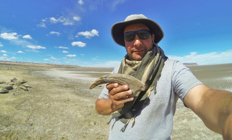 Científicos descubren dinosaurio en Argentina con poderosas garras